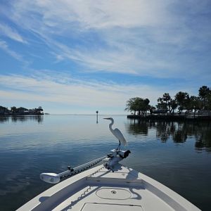 Spring time fiahing is great!