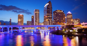 Things To Do In Tampa FL