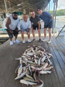 Texas Fishing License Information for Travelers and Anglers