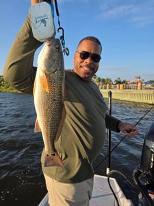 Weekday Spots Available – Hot Bite in Galveston