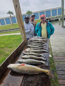 Hot Bite and Open Dates in Galveston Bay