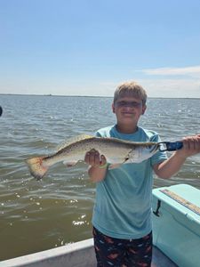 Great action on bay trips and trophy gar adventures. Book your next trip today!