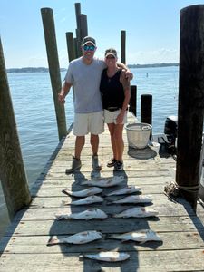 Virginia Beach Sportfishing Trips Filling Fast