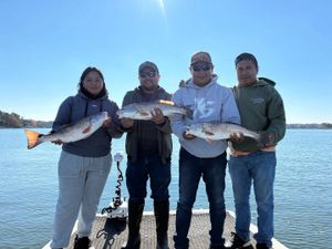 Black Friday Charter Savings – 20% Off This Weekend