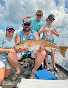 Bull Redfish 
