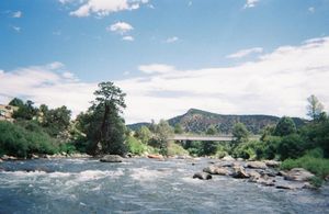 How to Get Your Wisconsin Fishing License