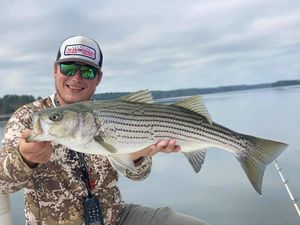 Bass Fishing Cornelia, GA