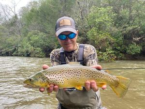 Stained Water Brown Trout Fishing