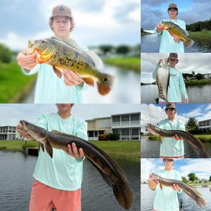 Predator Slam on Lock!!