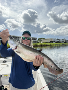 Top-Rated Peacock Bass Action - 6 Hour Fall Charter Success