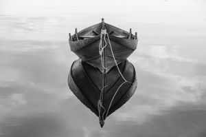 Fishing report updates