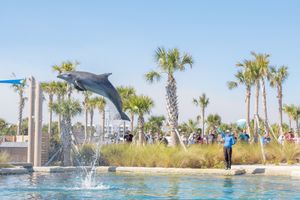 Top Things to Do in Florida Near Destin and Niceville 