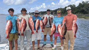 Gulf Shores Fishing Charters | Deep Sea & Inshore Trips
