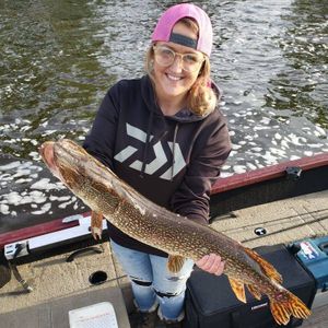 Northern Pike from Wisconsin River