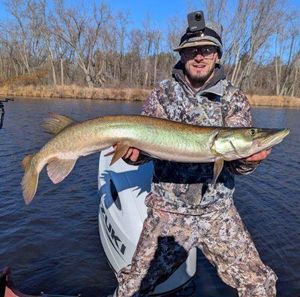 Consistent Fall Action Keeping the Rods Bending