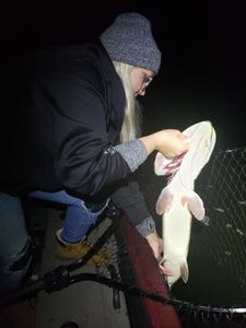 Night Fishing Adventure In Wisconsin