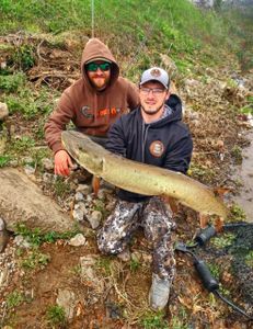 Huge Musky caught with fellow Guide Trey Leadman