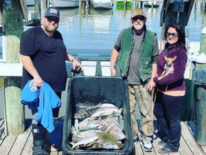 Catch Your Limit in Gulf Shores AL