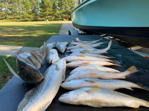 Unforgettable Alabama Fishing Trip, Sea Trout Run 
