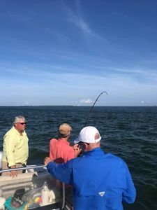Inshore Adventures for Everyone! Alabama fishing 