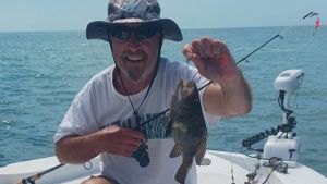 Redfish, Flounder, and Trout Steal the Show This Week