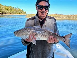 Chase the Tide: Redfish Fishing Tales Begin!