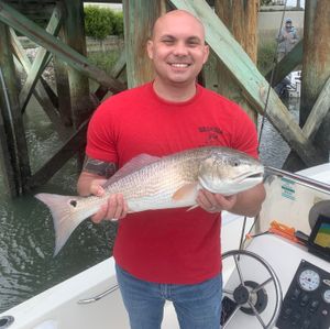 Glide into Greatness: Redfish Fishing Marvels