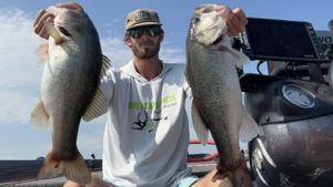 Consistent Bass and Catfish Bites in New Hill, NC