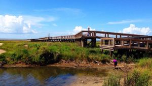 Top Things to Do in Port Arthur