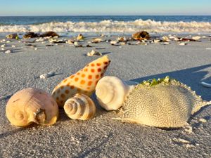 Lovers Key State Park- Park Site 