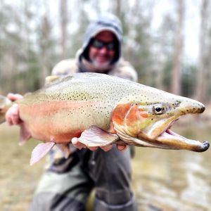 End of winter report 