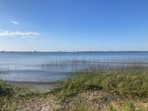 Proud marine tagging partnership for ocean conservation