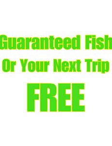 The bite is heating up 