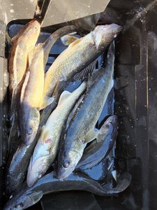 Fiahing teip with Brad and John