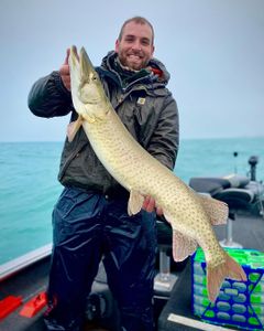 Limit Catches and Bonus Muskie Action