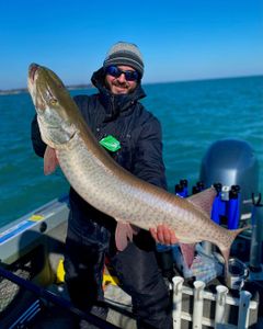 Bonus Musky Steal the Show