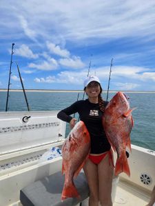 Big fish, big fights !