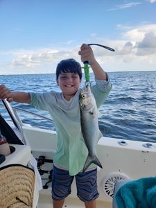 Flexing what I caught in fishing in Sebastian FL
