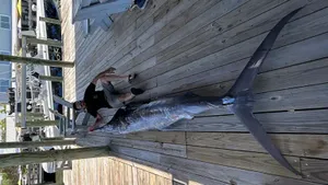 The Marlin Mystery That Still Has Anglers Talking