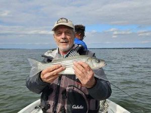 Wanna have a photo with this Striped Bass