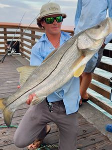 Summer snook bite is on fire!