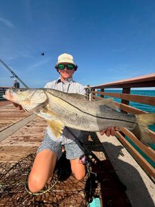Pier action heating up with a solid summer snook!