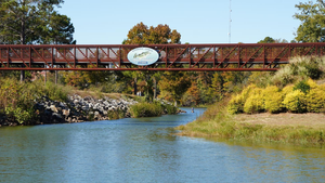 Things To Do In Everglades