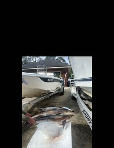 6 hr commercial trip