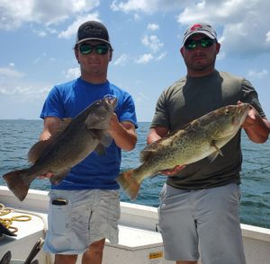Inshore & Offshore Fishing Pensacola