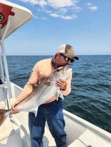Inshore Angling: Unforgettable Experiences