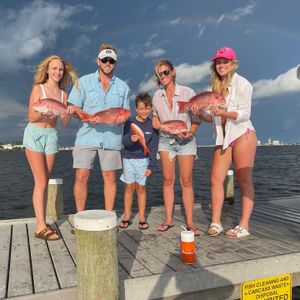 Family Caught Red Snappers : Pensacola Fishing!