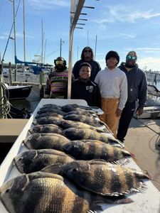 From Empty Box to Heavy Coolers: The Final Hour Hustle!