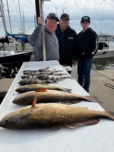 Winter Redfish Action: 6-Hour Biloxi Drift Fishing Success