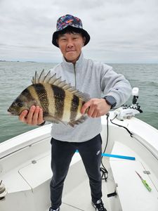 Jams Byun Four hour, Feb 16, 2026